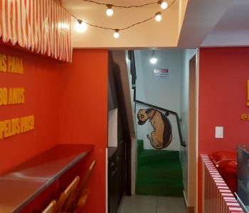 WhatsApp Image 2025-04-10 at 14.18.13